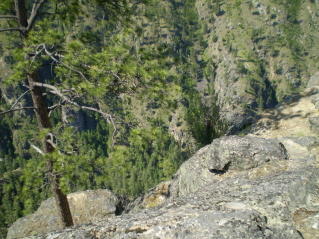 A viewpoint on the Canyon View Trail, Ellis Ridge 2011-07.